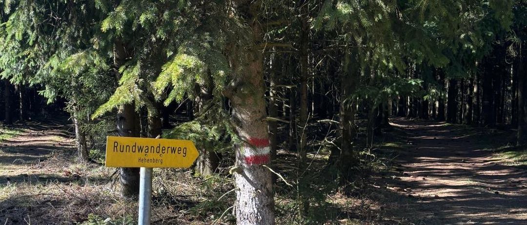 Ein Waldweg mit einem gelben Schild, das den Rundwanderweg anzeigt. Das Schild hat weißen Text auf gelbem Hintergrund und rote und weiße Markierungen.