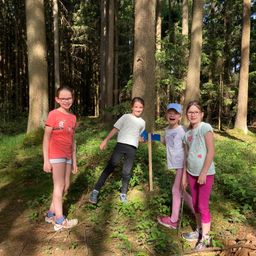 Bild enthält, Grove, Land, Tree, Vegetation, Woodland, Path, Grass, Park, Portrait, Jungle