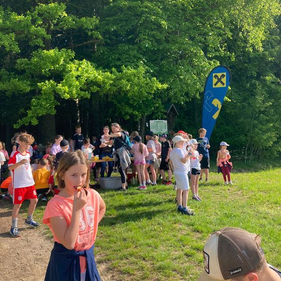 Bild enthält, Grass, Park, Grove, Tree, Vegetation, Woodland, Photography, Portrait, Summer, People