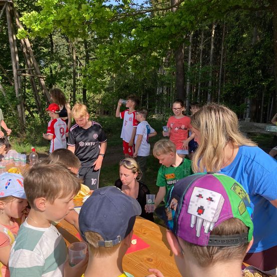 Bild enthält, Vegetation, Grass, Grove, Land, Park, Tree, Woodland, Summer, T-Shirt, Portrait