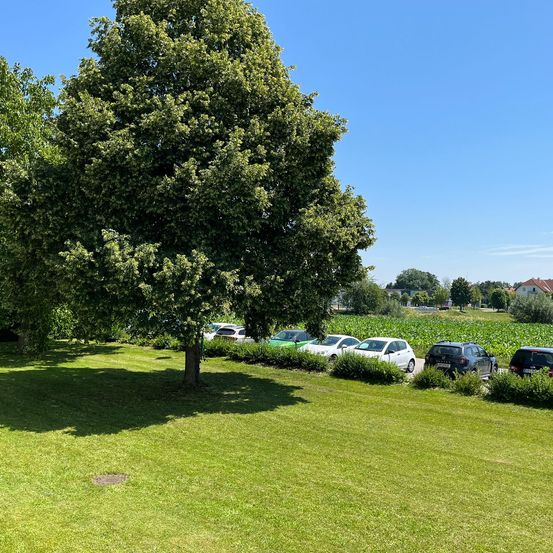 Bild enthält, Grass, Nature, Outdoors, Park, Lawn, Tree, Car, Scenery, Wheel, Ground