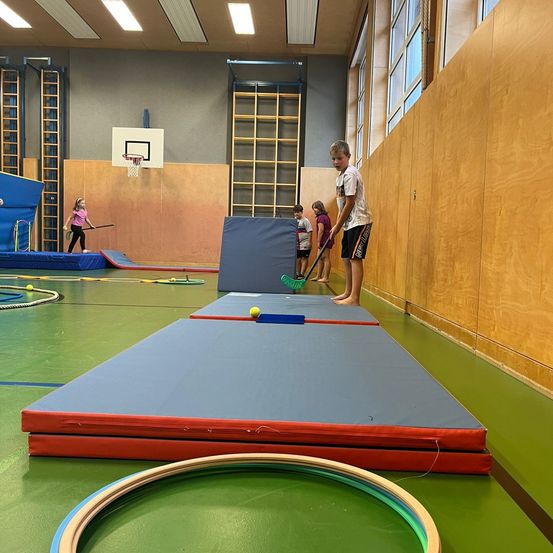 Bild enthält, Floor, Indoors, Interior Design, Person, Sport, Tennis, Tennis Ball, Jumping, Clothing, Shorts