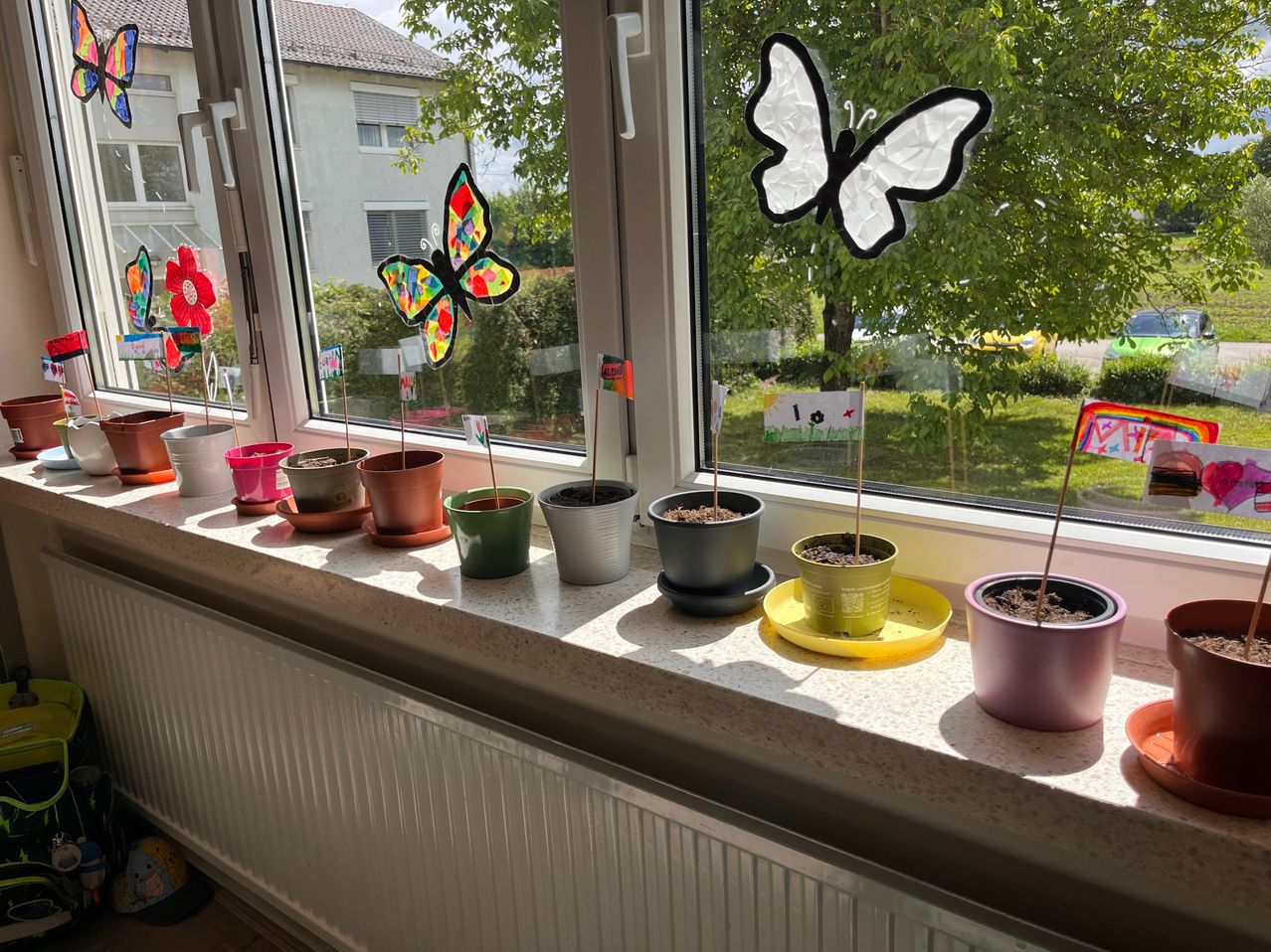 A window sill with a variety of colorful potted plants and decorative butterflies on the window. The plants are placed on a white surface, and a butterfly sticker is on the glass. The window is open, and a tree is outside.