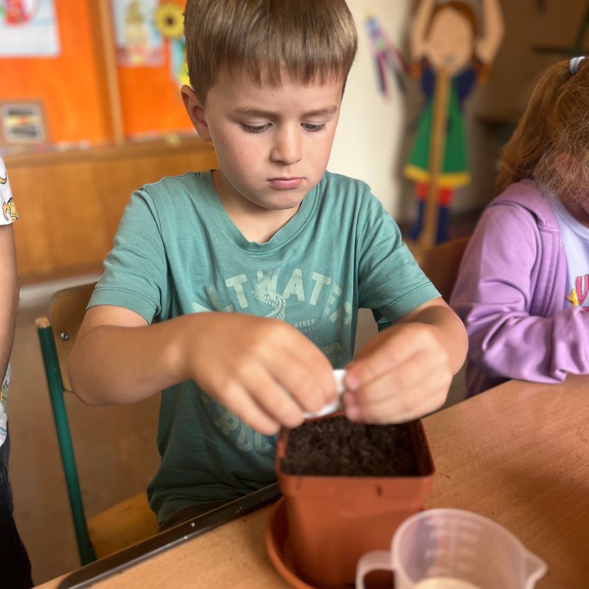 A young boy in a blue t-shirt is planting seeds in a small pot, with a measuring cup nearby. Behind him, a girl in a purple shirt watches.