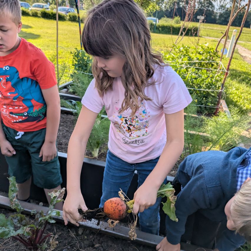 Three children work in a garden. One holds a carrot while the others watch. The garden is surrounded by green grass and trees.