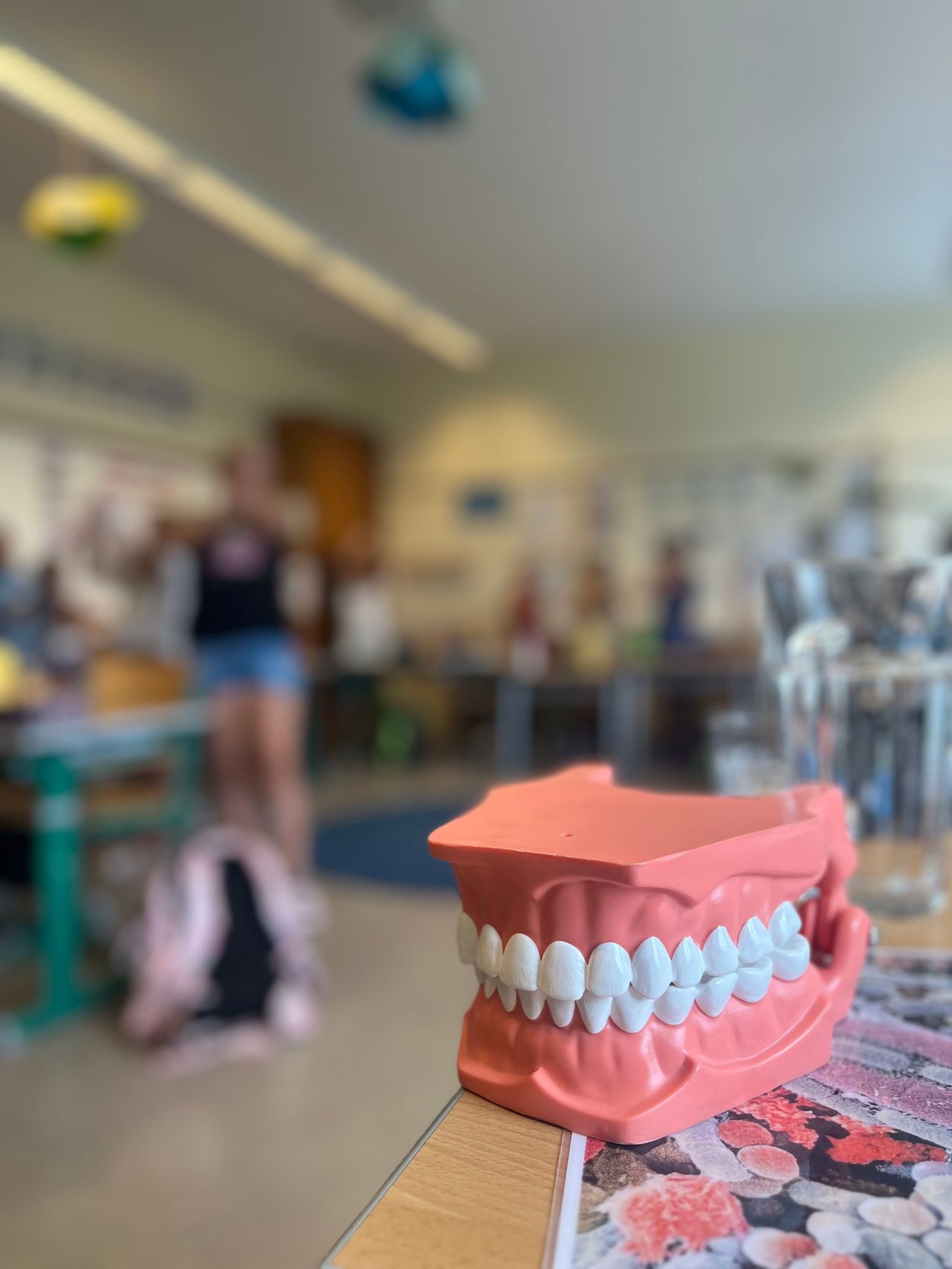 Ein Zahnmodell steht auf einem Tisch in einem Klassenzimmer. Eine verschwommene Person ist im Hintergrund zu sehen.