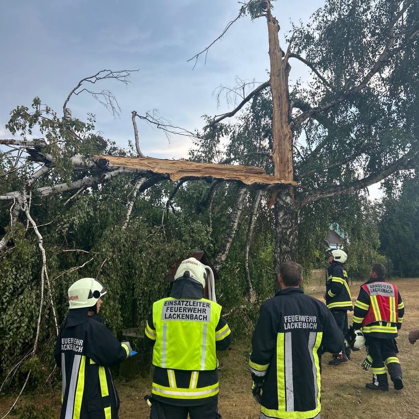 Feuerwehrleute in Schutzkleidung stehen um einen umgestürzten Baum herum, einer schaut auf einen umgefallenen Ast.