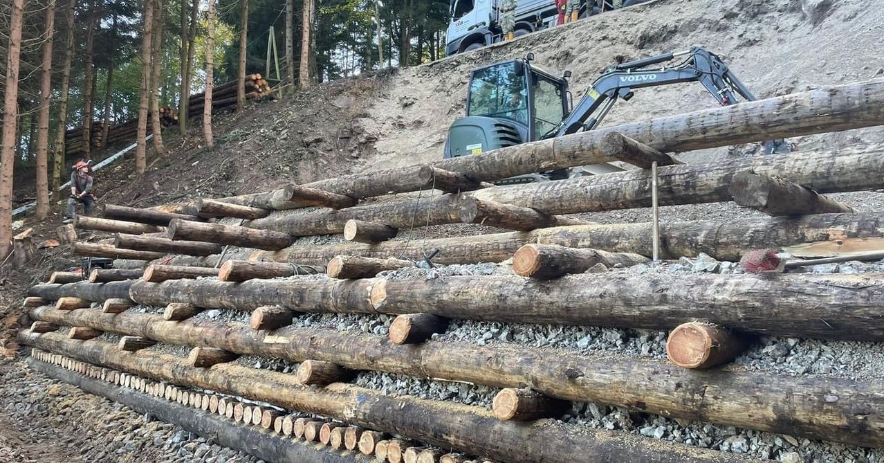 Bild enthält, Lumber, Wood, Person, Bulldozer, Machine
