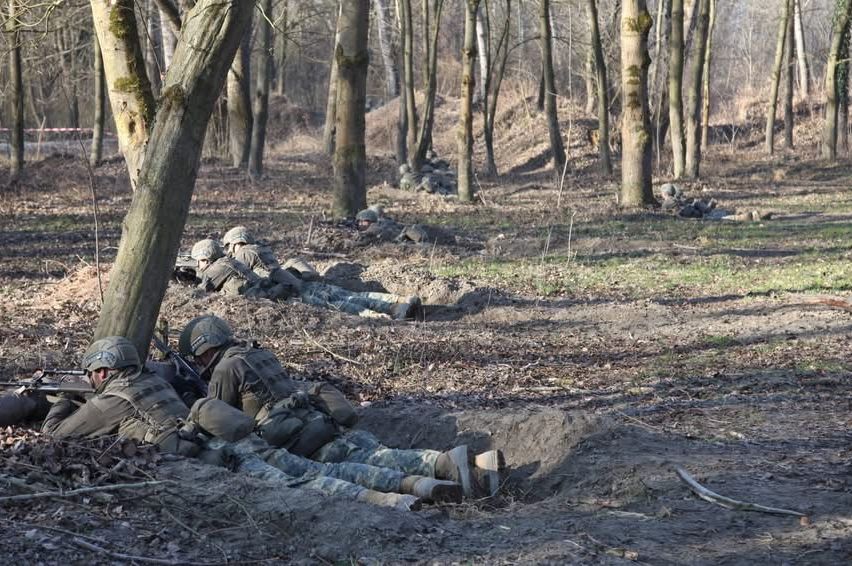 Bild enthält, Land, Tree, Vegetation, Woodland, Person, Gun, Adult, Male, Man, Taking Cover