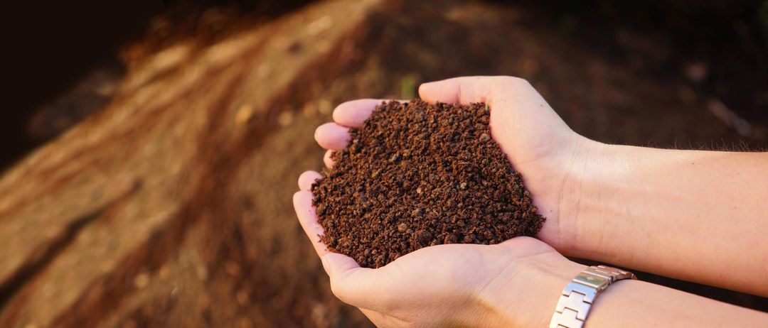 Eine Person hält eine Ansammlung von dunkelbrauner Erde zwischen ihren Händen, die Erde ist verstreut.