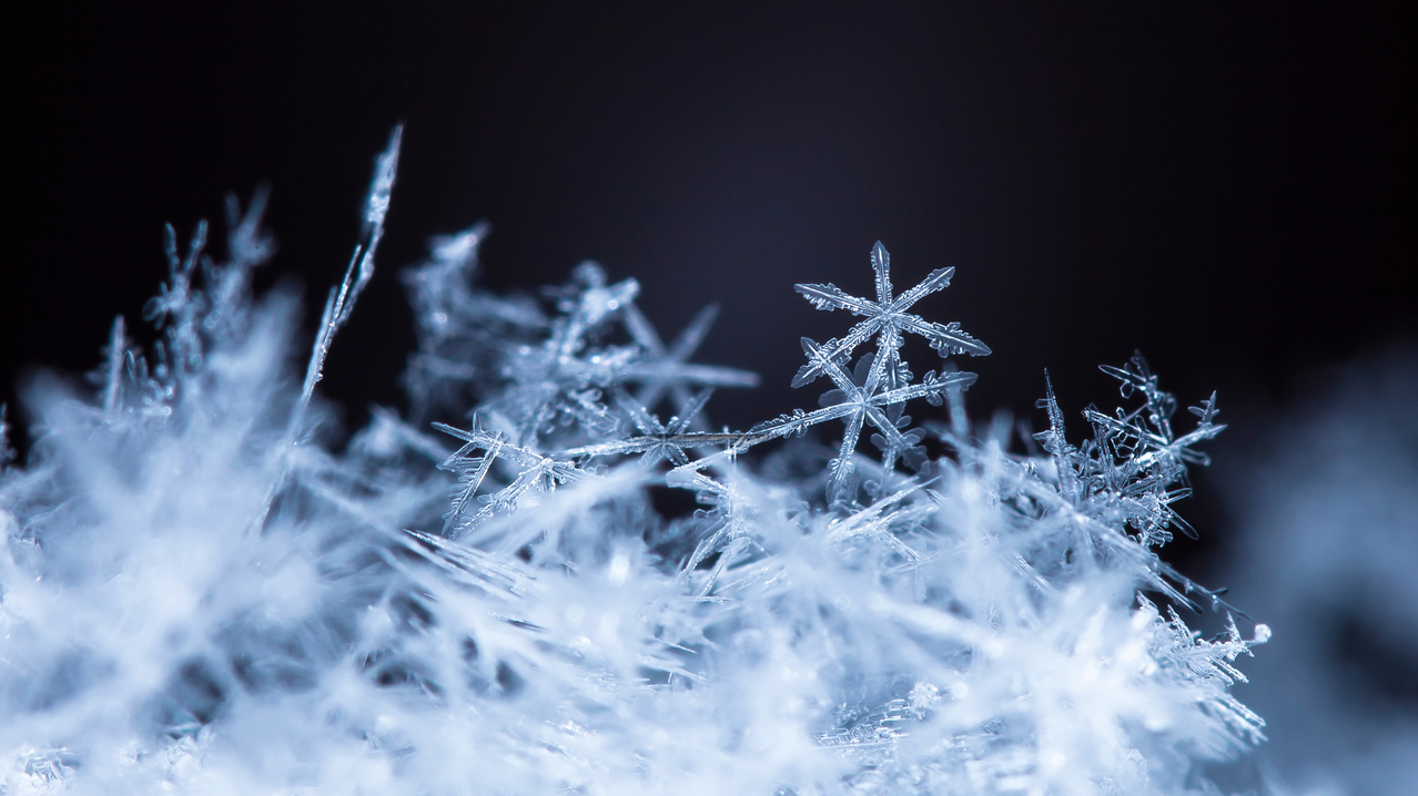 Eine Nahaufnahme einer Sammlung von komplexen Eiskristallen und Schneeflocken auf einem dunklen Hintergrund.