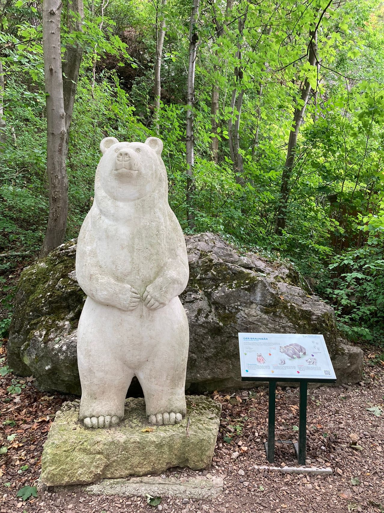 A white stone bear statue stands in a forest, with trees and a large rock behind it. A sign with drawings is next to it.