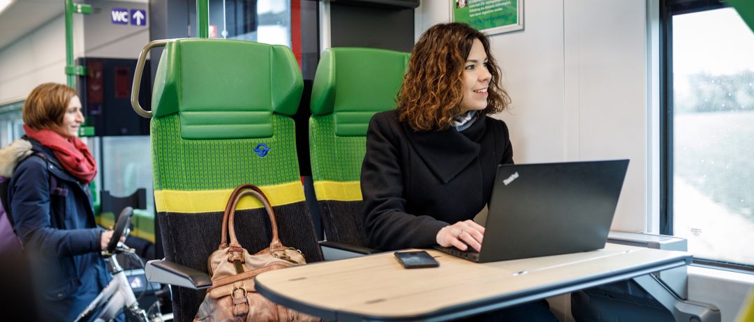 Bild enthält, Adult, Female, Person, Woman, Handbag, Laptop, Computer Hardware, Monitor, Screen, Face