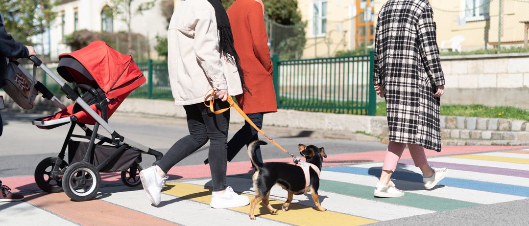 Bild enthält, Coat, Shoe, Person, Canine, Dog, Pet, Wheel, Tarmac, Jacket, Walking Dog