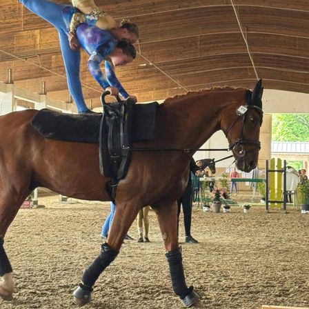 Zwei Personen führen eine pferdegestützte Gymnastikroutine in einer überdachten Reithalle durch. Eine Person steht auf dem Pferd, während die andere sie von unten unterstützt.