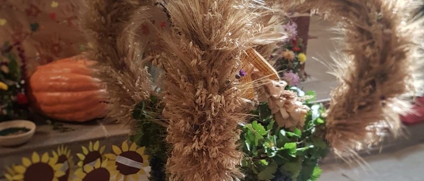 v1_migrated_image_54809665