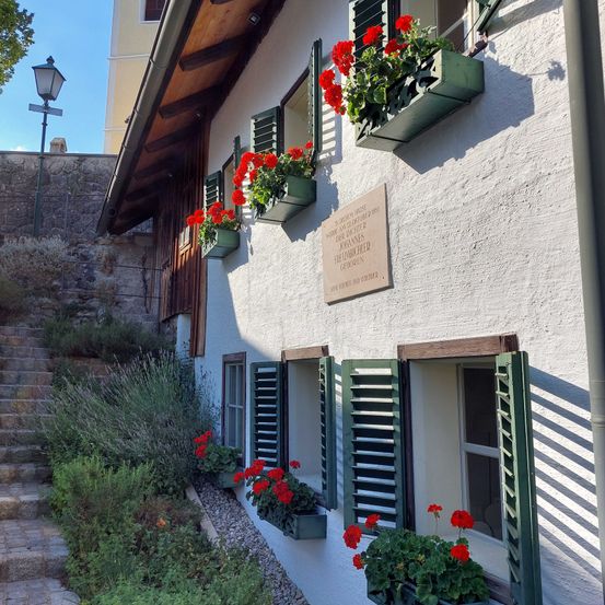 Bild enthält, Flower, Geranium, Potted Plant, Window, Curtain, Home Decor, Window Shade, Shutter, City, Flower Arrangement