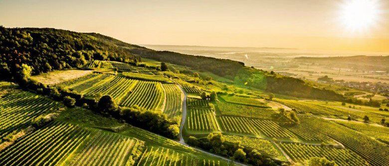 Nature, Outdoors, Countryside, Rural, Farm, Aerial View