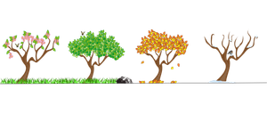 Eine Illustration zeigt zwei Bäume, einen mit grünen Blättern und einen mit herbstlichen Farben, was den Übergang vom Frühling zum Herbst anzeigt.