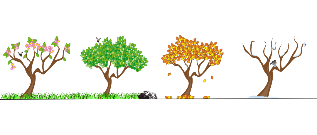 Eine Illustration zeigt zwei Bäume, einen mit grünen Blättern und einen mit herbstlichen Farben, was den Übergang vom Frühling zum Herbst anzeigt.
