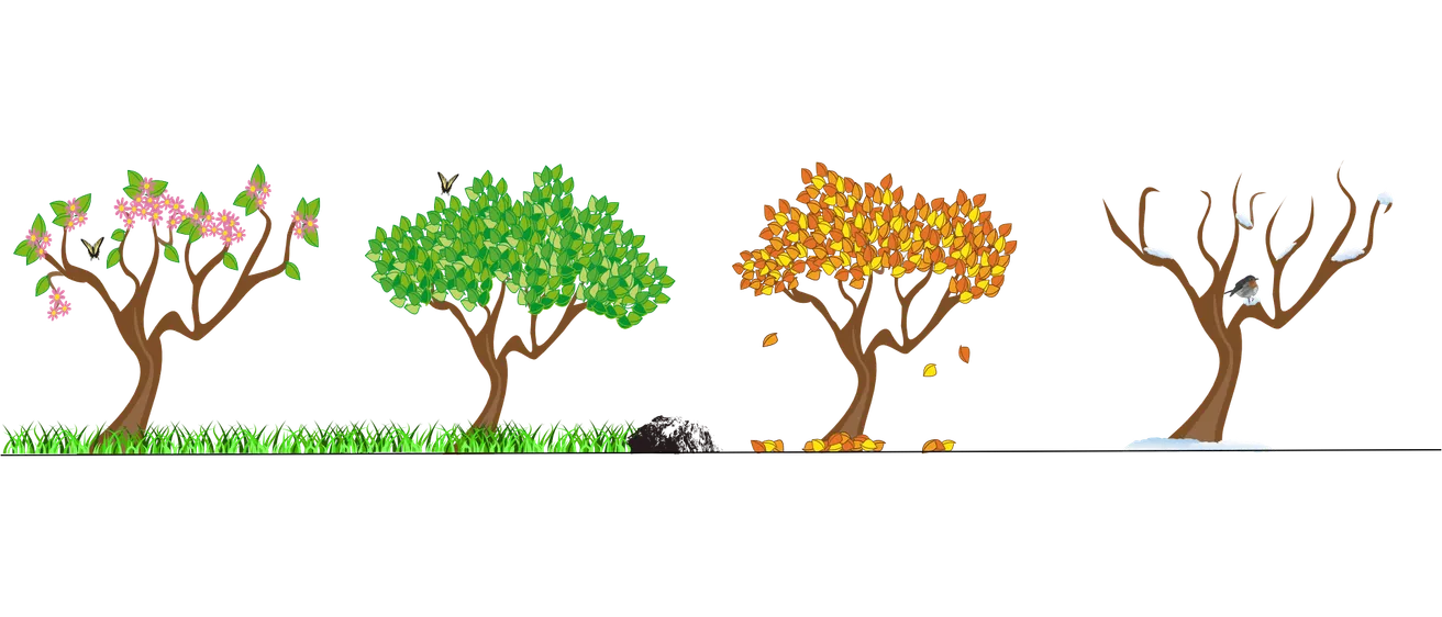 Eine Illustration zeigt zwei Bäume, einen mit grünen Blättern und einen mit herbstlichen Farben, was den Übergang vom Frühling zum Herbst anzeigt.