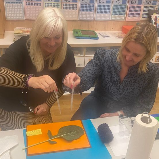 Zwei Frauen sitzen an einem Tisch, eine hält ein Blatt und die andere eine Pipette. Auf dem Tisch befinden sich ein Papierhandtuchrollen, ein Glas und ein Pinsel. Hinter ihnen sind Zahlentafeln, eine Box und ein Tablet.