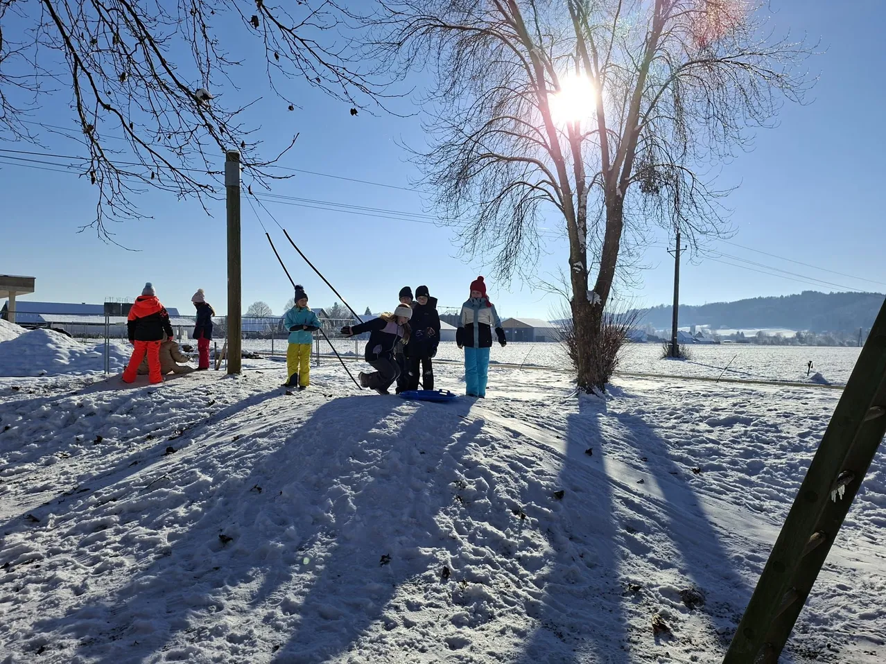 An einem sonnigen Tag spielen mehrere Kinder im Schnee. Sie tragen Winterkleidung und Mützen, und eines hält einen Stock. Der Boden ist mit Schnee bedeckt, und es gibt einen laublosen Baum. In der Ferne befinden sich Gebäude und Berge.