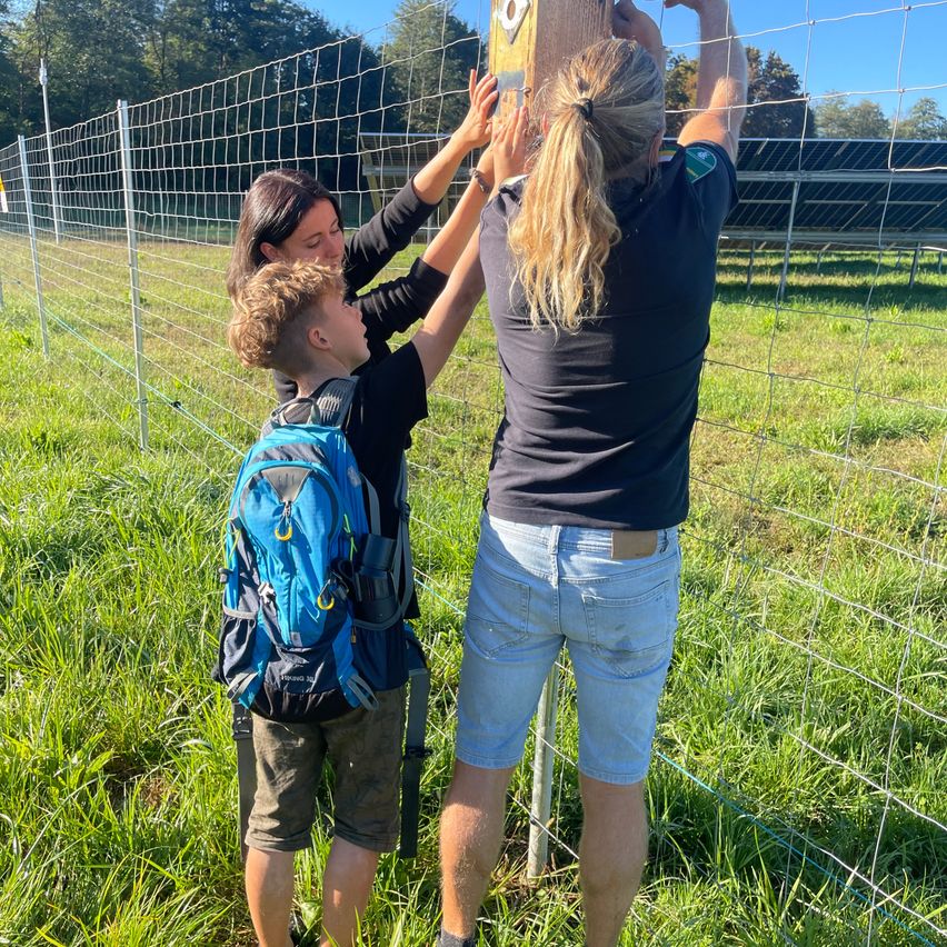 Eine Familie mit einem jungen Jungen repariert einen Holzpfosten an einem Zaun. Die Frau und der Junge halten den Pfosten, während die andere Frau hilft. Sie sind alle lässig gekleidet.