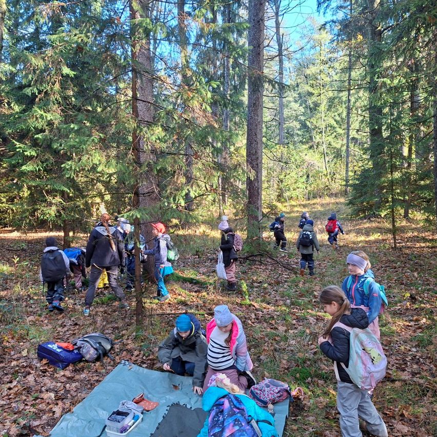 Eine Gruppe von Kindern erkundet einen Wald, einige sitzen auf dem Boden und andere gehen. Sie tragen Rucksäcke und einige haben Mützen. Es gibt Bäume und trockene Blätter auf dem Boden.