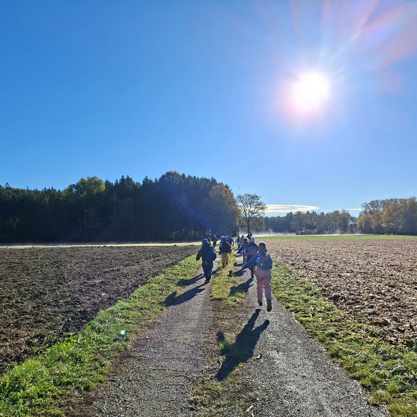 Eine Gruppe von Kindern läuft an einem sonnigen Tag einen Kiesweg entlang. Der Weg ist von grasigen Feldern und einem Wald in der Ferne umgeben.