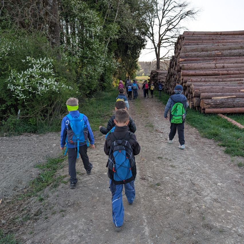 Eine Gruppe von Kindern geht mit Rucksäcken auf einem Feldweg. Bäume und Sträucher säumen den Weg, und rechts ist ein Stapel Holzscheite.