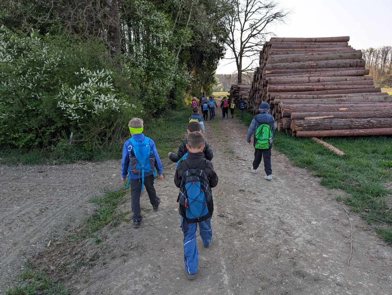 Eine Gruppe von Kindern geht mit Rucksäcken auf einem Feldweg. Bäume und Sträucher säumen den Weg, und rechts ist ein Stapel Holzscheite.