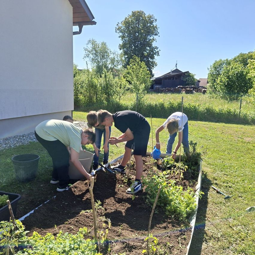 Eine Gruppe von Menschen arbeitet in einem Garten mit Pflanzen und Werkzeugen unter einem klaren Himmel in der Nähe eines Gebäudes.