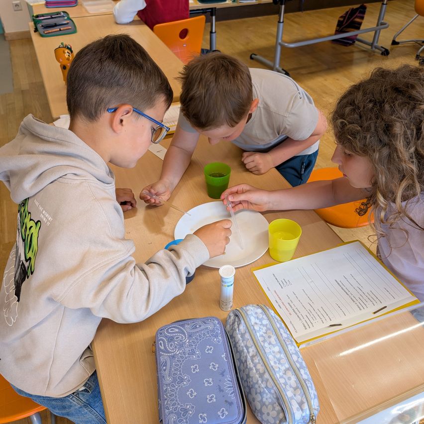 Drei Kinder führen ein Experiment an einem Schreibtisch durch, jedes mit einem Becher und einer kleinen Platte. Einer sieht genau nach unten, während die anderen zusehen. Es gibt Taschen und Papiere auf dem Schreibtisch.