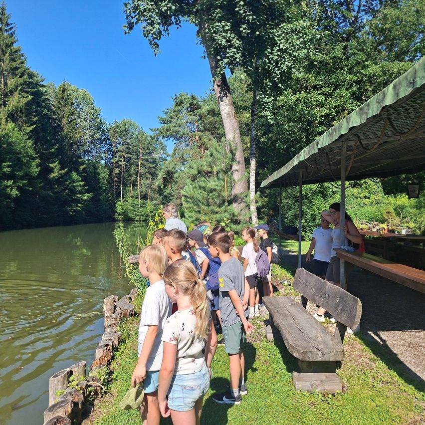 Eine Gruppe von Kindern und Erwachsenen steht am Ufer eines Teichs und beobachtet das Wasser. Einige tragen Hüte und Turnschuhe. Hinter ihnen steht eine Holzbank unter einem Schutzdach.