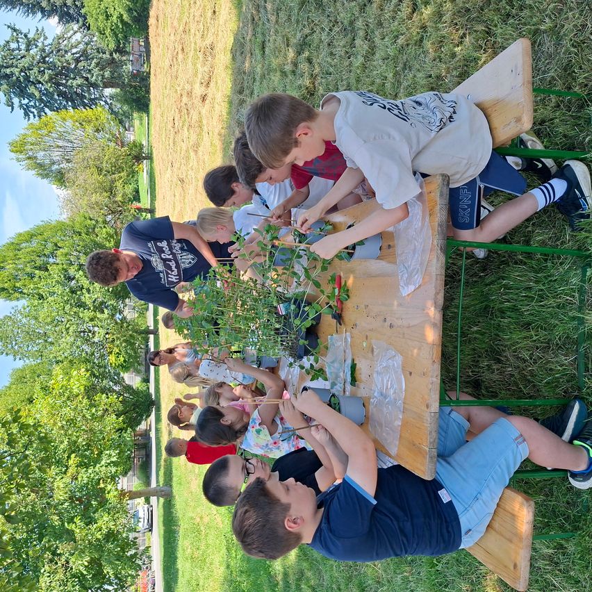 Eine Gruppe von Kindern und Erwachsenen sitzt um einen Picknicktisch in einem Park herum und beschäftigt sich mit einer pflanzenbezogenen Aktivität.