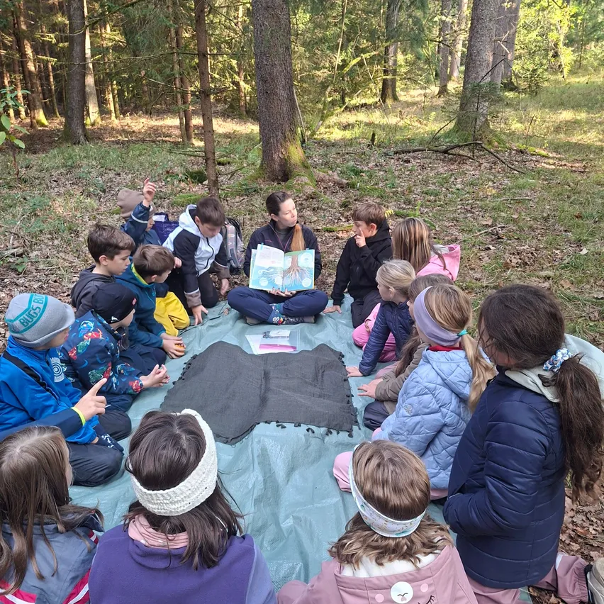 Eine Gruppe von Kindern sitzt im Kreis auf einer Decke im Wald. Eine Frau sitzt in der Mitte und liest ihnen ein Buch vor.