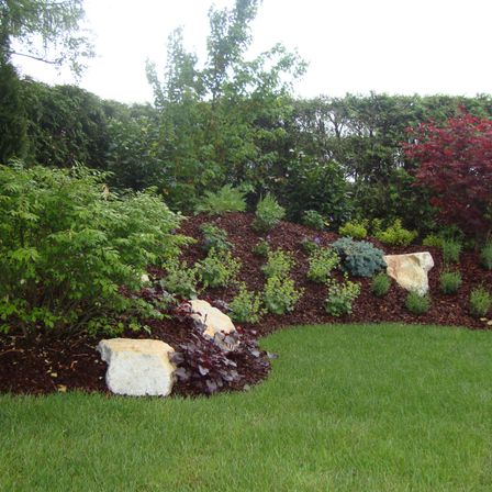 Bild enthält, Grass, Plant, Garden, Nature, Outdoors, Backyard, Yard, Lawn, Vegetation, Tree