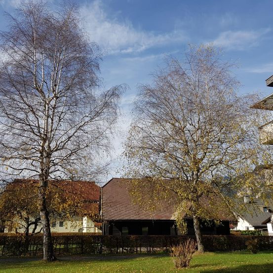 Bild enthält, Plant, Tree, Grass, Architecture, Building, Outdoors, Shelter, Housing, House, Nature