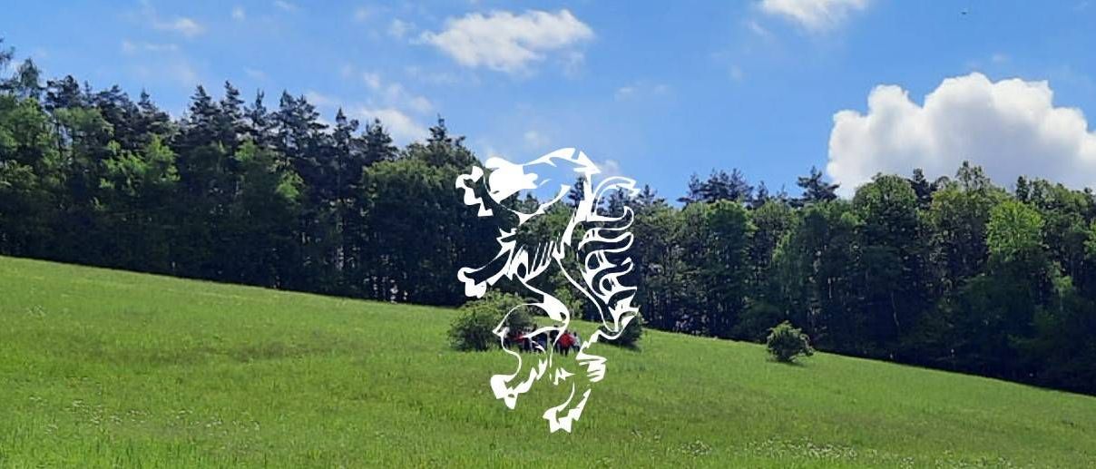 v1_migrated_image_84730699