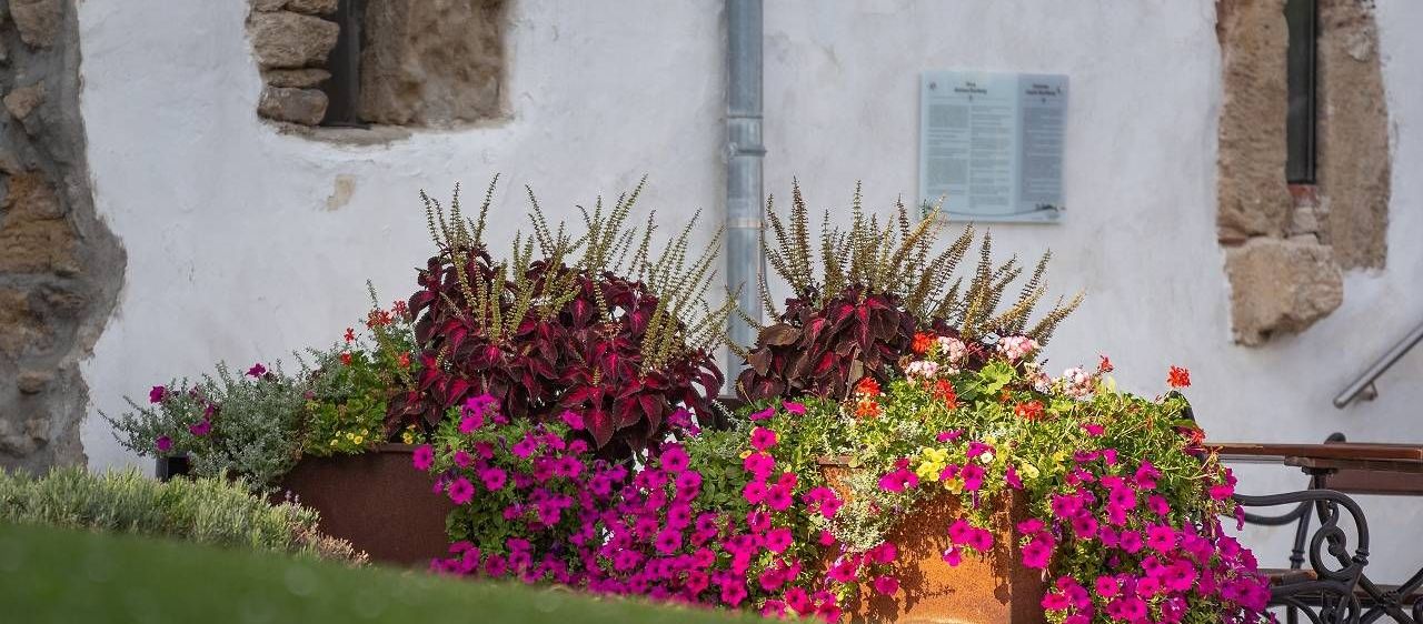 v1_migrated_image_66979569