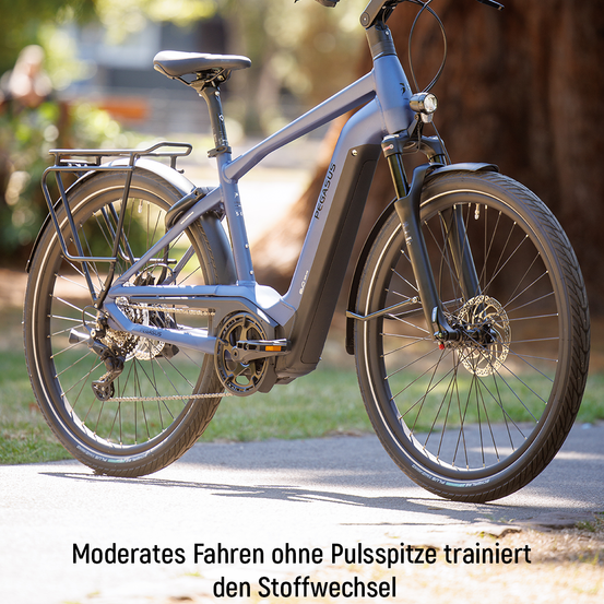 Bild enthält, Machine, Wheel, Bicycle, Transportation, Vehicle, Spoke