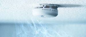 Bild enthält, Water