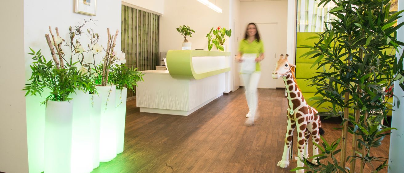 Bild enthält, Plant, Potted Plant, Jar, Planter, Vase, Interior Design, Floor, Person, Flooring, Foyer