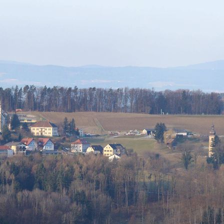 Luftaufnahme eines Dorfes mit Bäumen, Häusern und einem Turm. Im Hintergrund gibt es ein großes Feld und Berge.