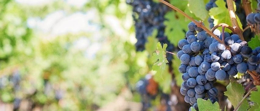 v1_migrated_image_30200353