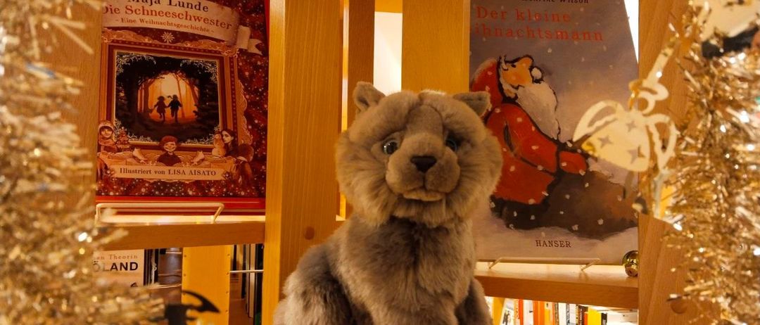 Ein geduldeter Bär sitzt auf einem Holzregal mit Weihnachtsdekorationen und Büchern im Hintergrund. Die Bücher sind mit 'Maja Lunde Die Schneeschwestern' und 'Der kleine Weihnachtsmann' betitelt.