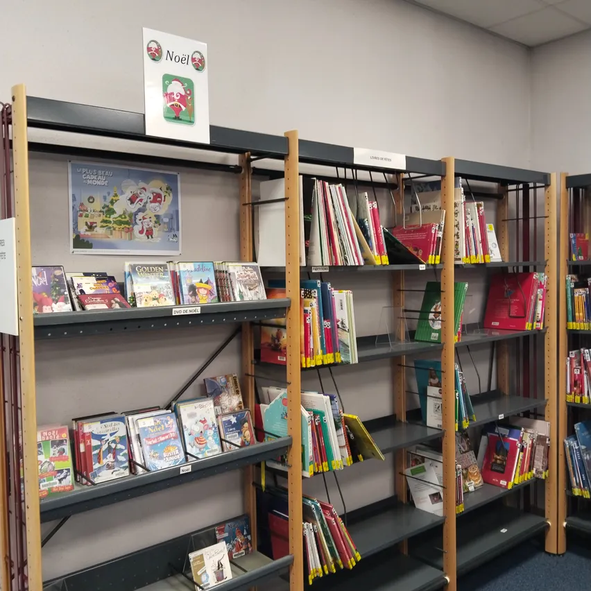 Eine Bibliothek mit mehreren Regalen, die mit Büchern und DVDs gefüllt sind. Ein Schild mit dem Wort Noel ist oben auf einem der Regale.
