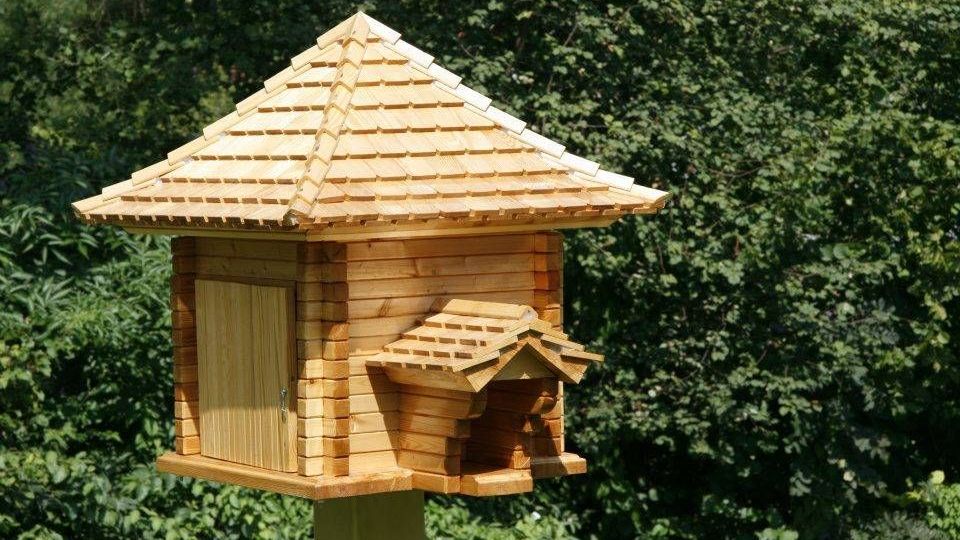 v1_migrated_image_48333453