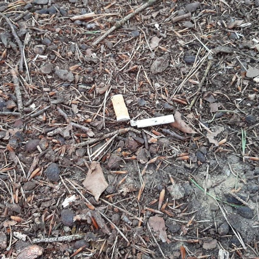 Boden bedeckt mit trockenen Blättern, Zweigen und kleinen Steinen. Eine Zigarettenkippe ist sichtbar, teilweise im Boden vergraben.